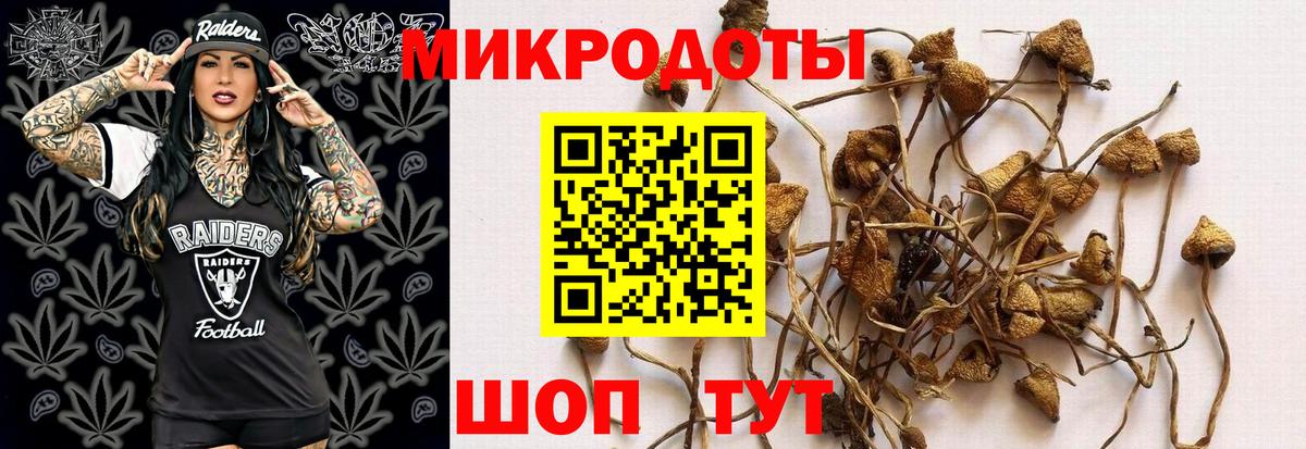 Псилоцибиновые грибы Magic Shrooms  Вход с VPN  Дзержинский 