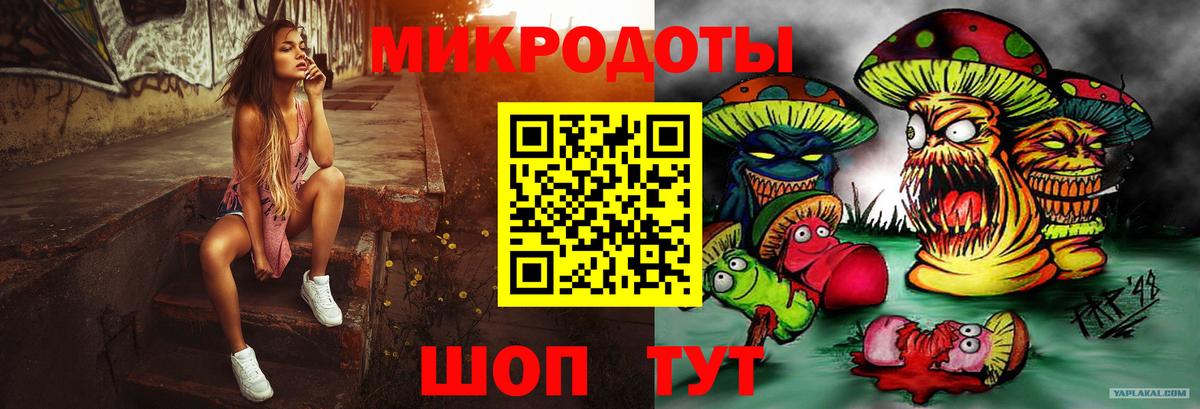 Галлюциногенные грибы Psilocybe Дзержинский